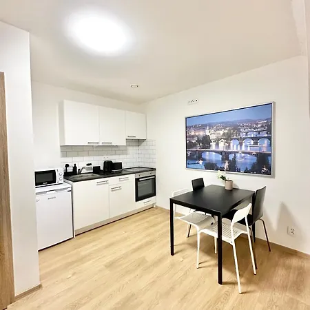 Apartment 2br Spacious Basement Near Center