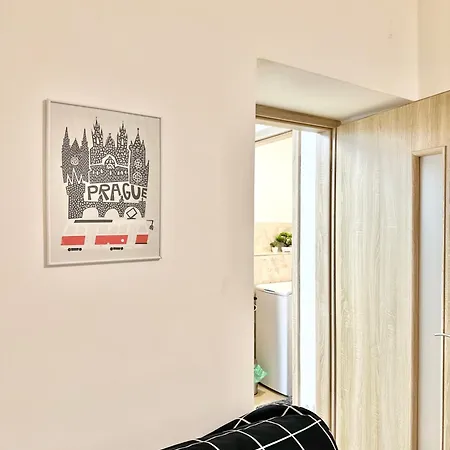 2br Spacious Basement Near Center * Prague