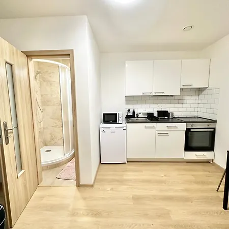 2br Spacious Basement Near Center Apartman *