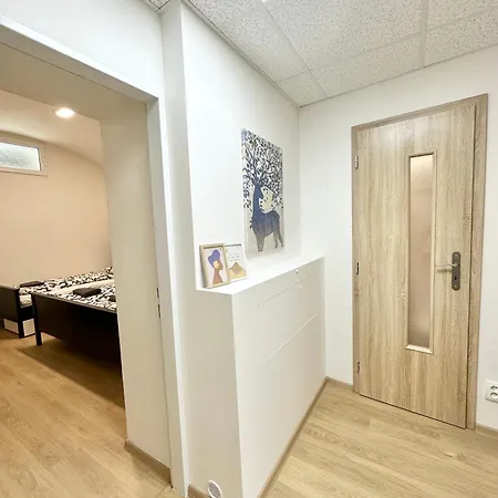 2br Spacious Basement Near Center * Prága